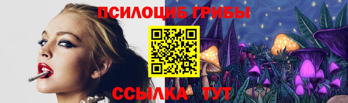 Псилоцибиновые грибы MAGIC MUSHROOMS  Вход с VPN  Галлюциногенные грибы прущие грибы  Топки 